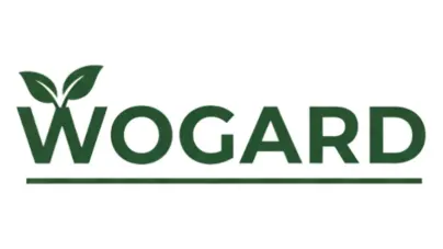 Cebine Göre Tasarım